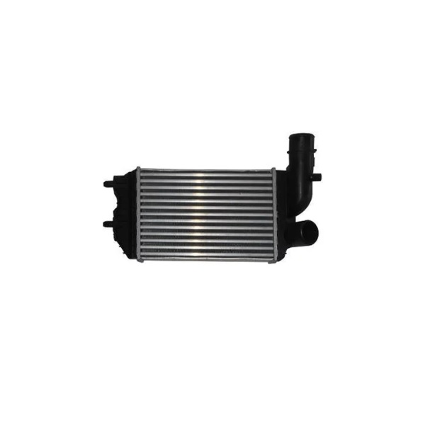 Intercooler Notus NT11124