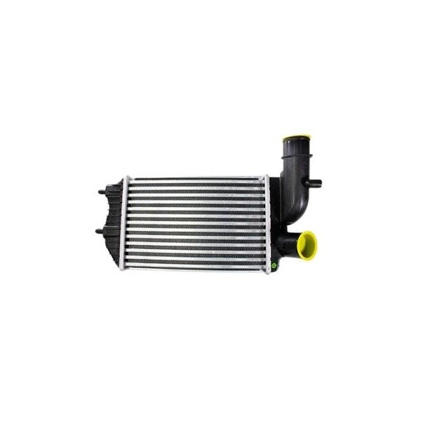 Intercooler Reach 6111124