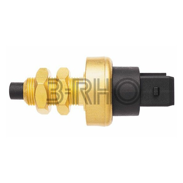 Interruptor do Freio 3RHO 394