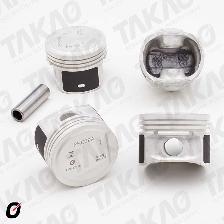 Jogo de Pistão (0.50) Flex Takao PRE09A050