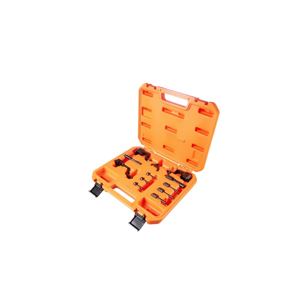 Jogo para Sincronismo do Motor a Diesel Raven Especial 131501