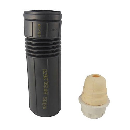 Kit Amortecedor Parcial traseiro Axios BR10004402631
