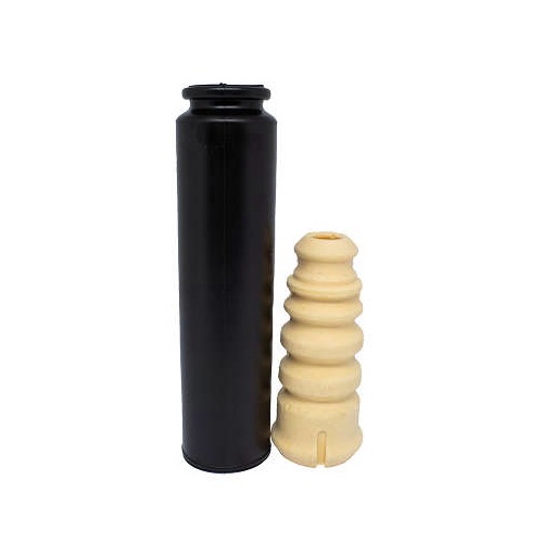 Kit Amortecedor traseiro Axios LT90230