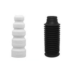 Kit Amortecedor traseiro Axios BR10004401734