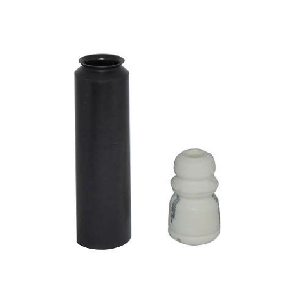 Kit Amortecedor traseiro Axios BR10004402630