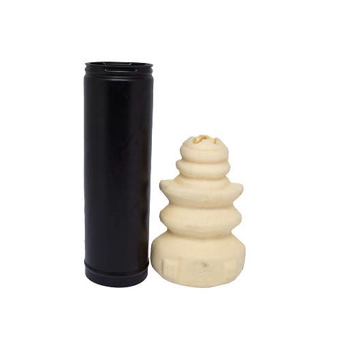 Kit Amortecedor traseiro Axios LT90239