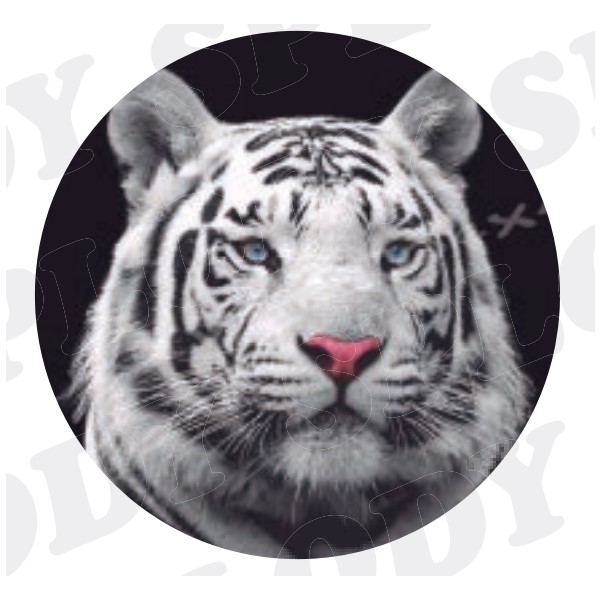 Kit Capa de Estepe Tigre com Cadeado e Cabo de Aço R13/14/15/16 Splody 100470GA