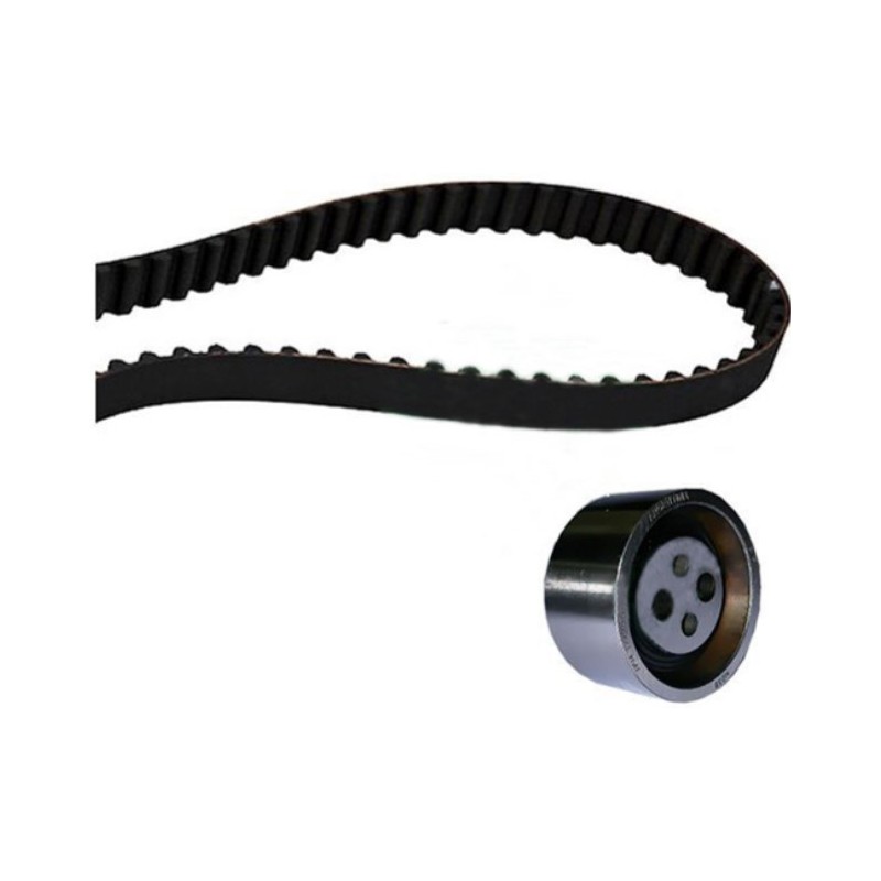 Kit Correia Dentada 124 Dentes INA 5300720100