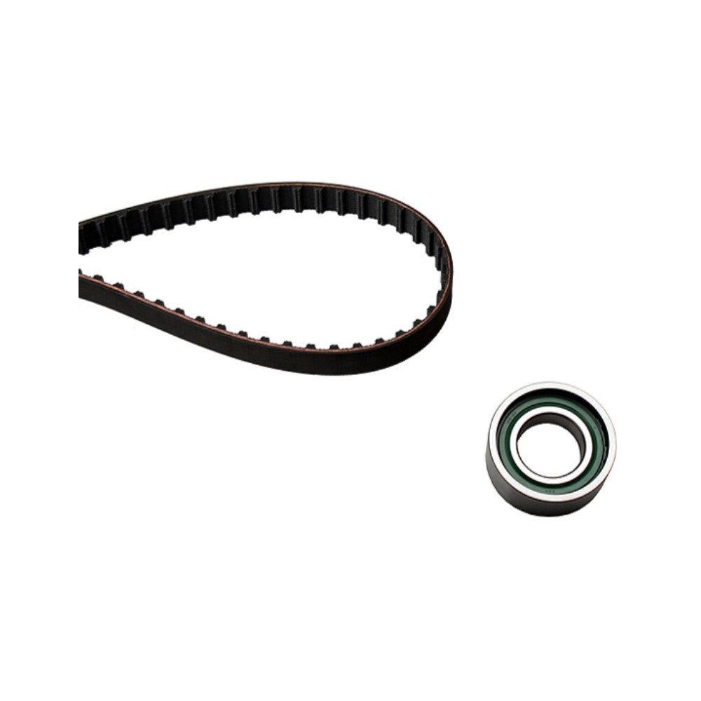 Kit Correia Dentada INA 5300203100