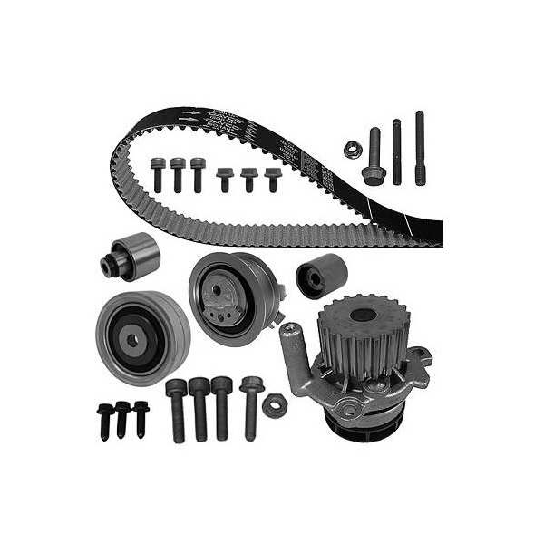 Kit de Correia Dentada Dayco KTBWP7880