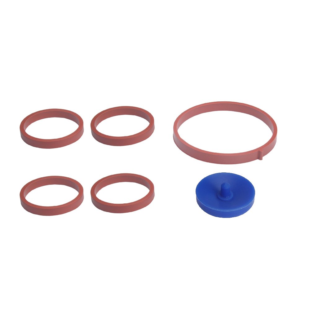 Kit Diafragma do Coletor Admissão LP LP204025174KT