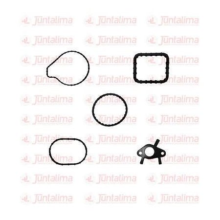 Kit Junta da Bomba D'água Junta Lima JL10240K