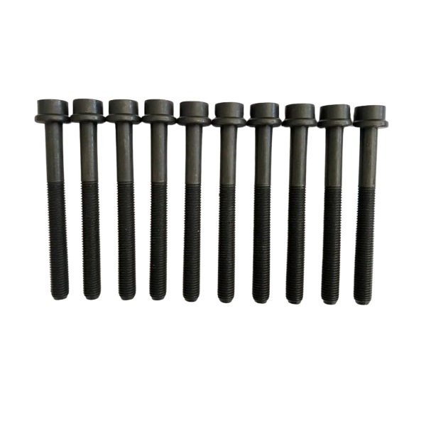 Kit Parafuso do Cabeçote 10 Peças Brasmeck 77009PC