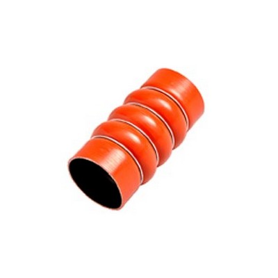 Mangueira do Intercooler Rochepecas 99440309