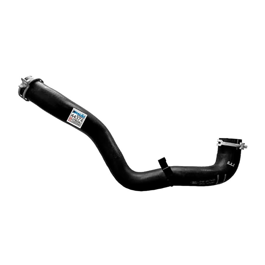 Mangueira do Radiador superior Ford C1B18B274BA