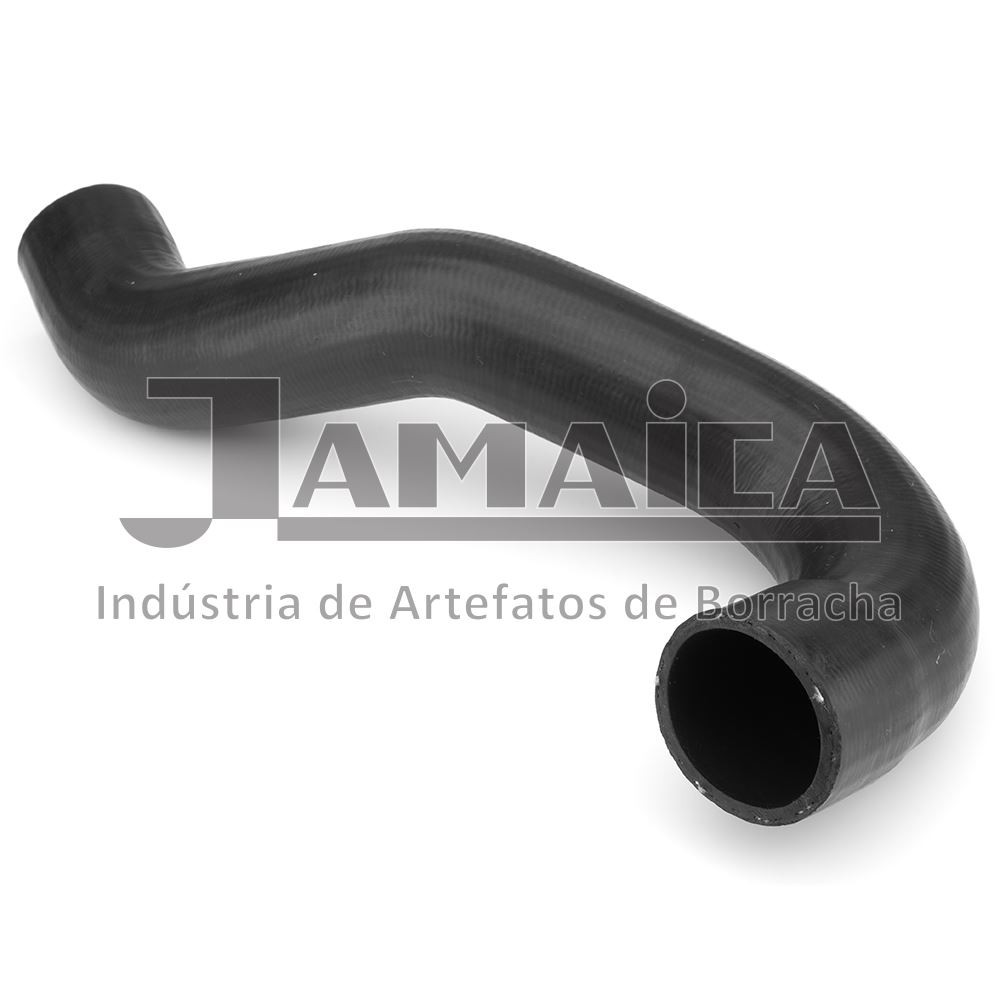 Mangueira do Radiador superior Jamaica MM11000