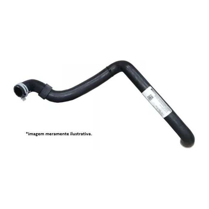 Mangueira Radiador inferior Ford C1B18B273CA