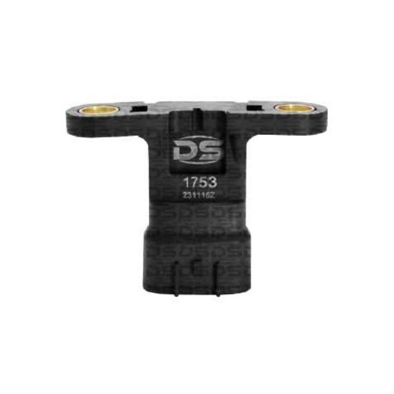 Map DS 1753