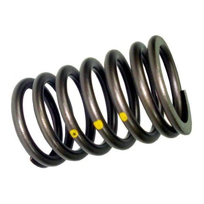 Mola Externa da Válvula do Motor BR Company 170042