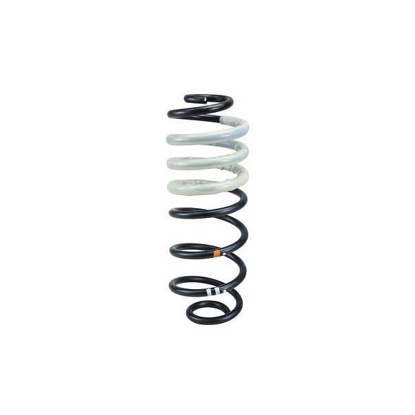Molas de Suspensão traseira Cofap MCEFIAT316