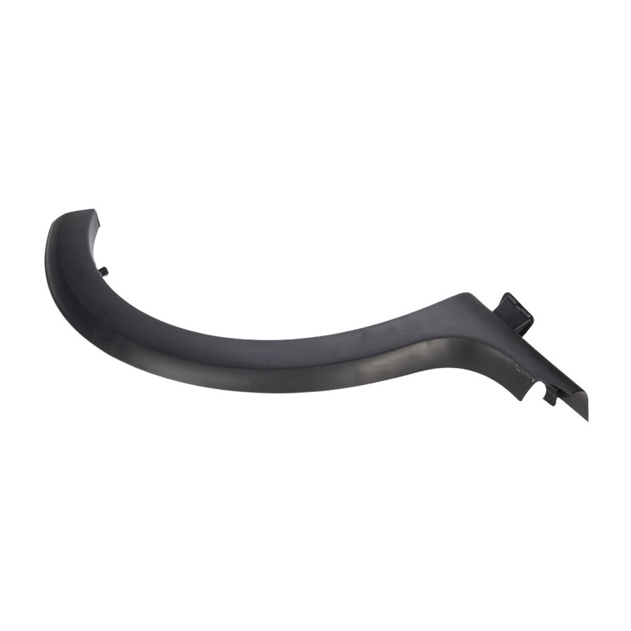 Moldura da Caixa de Roda lado esquerdo Renault 8200531505