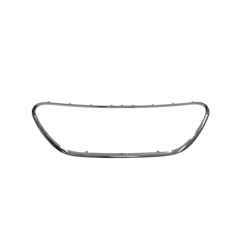 Moldura da Grade do Para-choque dianteiro Automotive Imports BR999768