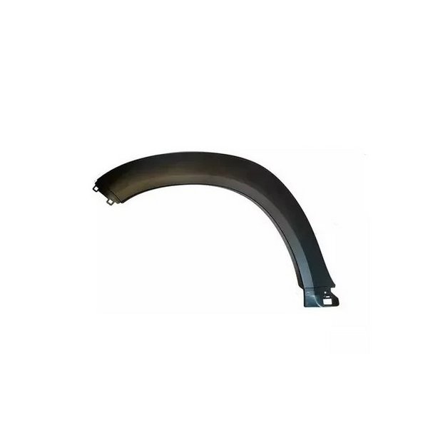 Moldura do Para-lama lado esquerdo Citroen 98115904XT