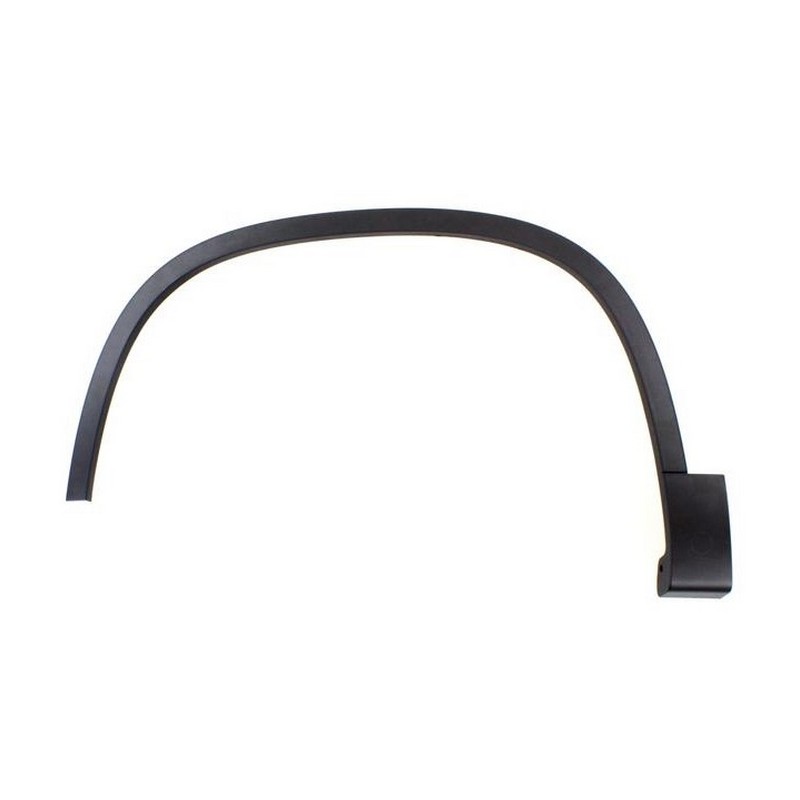 Moldura do Para-lama lado esquerdo Automotive Imports ZN42422028DE