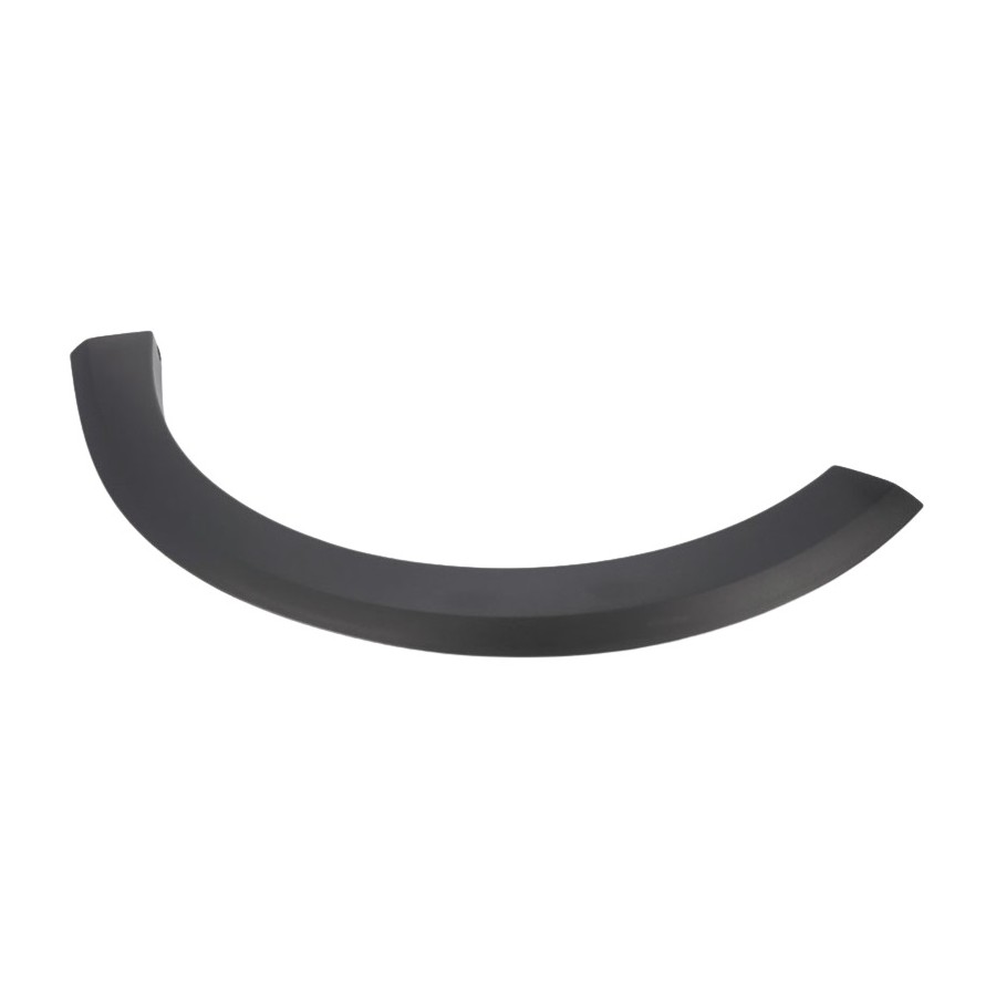 Moldura do Para-lama Maior lado esquerdo Renault 638753375R