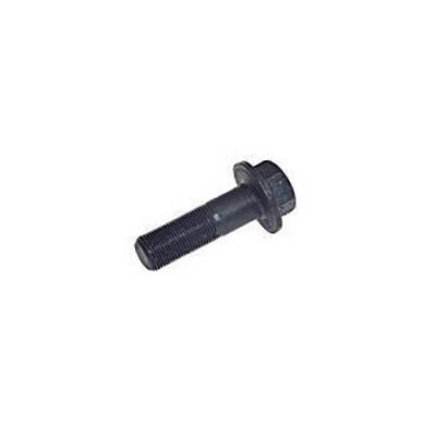 Parafuso da Coroa 14X45mm Rochepecas 3839900301