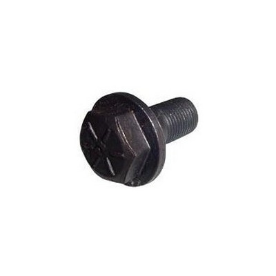 Parafuso da Coroa Rochepecas T06525851A