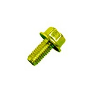 Parafuso da Polia Antivibratória 08X1,25X16mm Rochepecas 4239900012