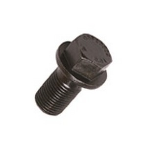 Parafuso da Polia do Antivibra 16X1,5X28mm Om447 Om449La Rochepecas 4220350071