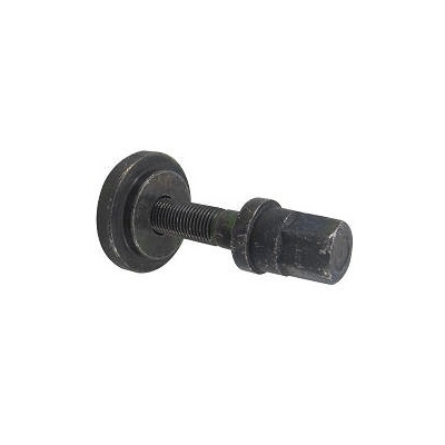 Parafuso da Polia do Virabrequim 14mm Worx A14H002A