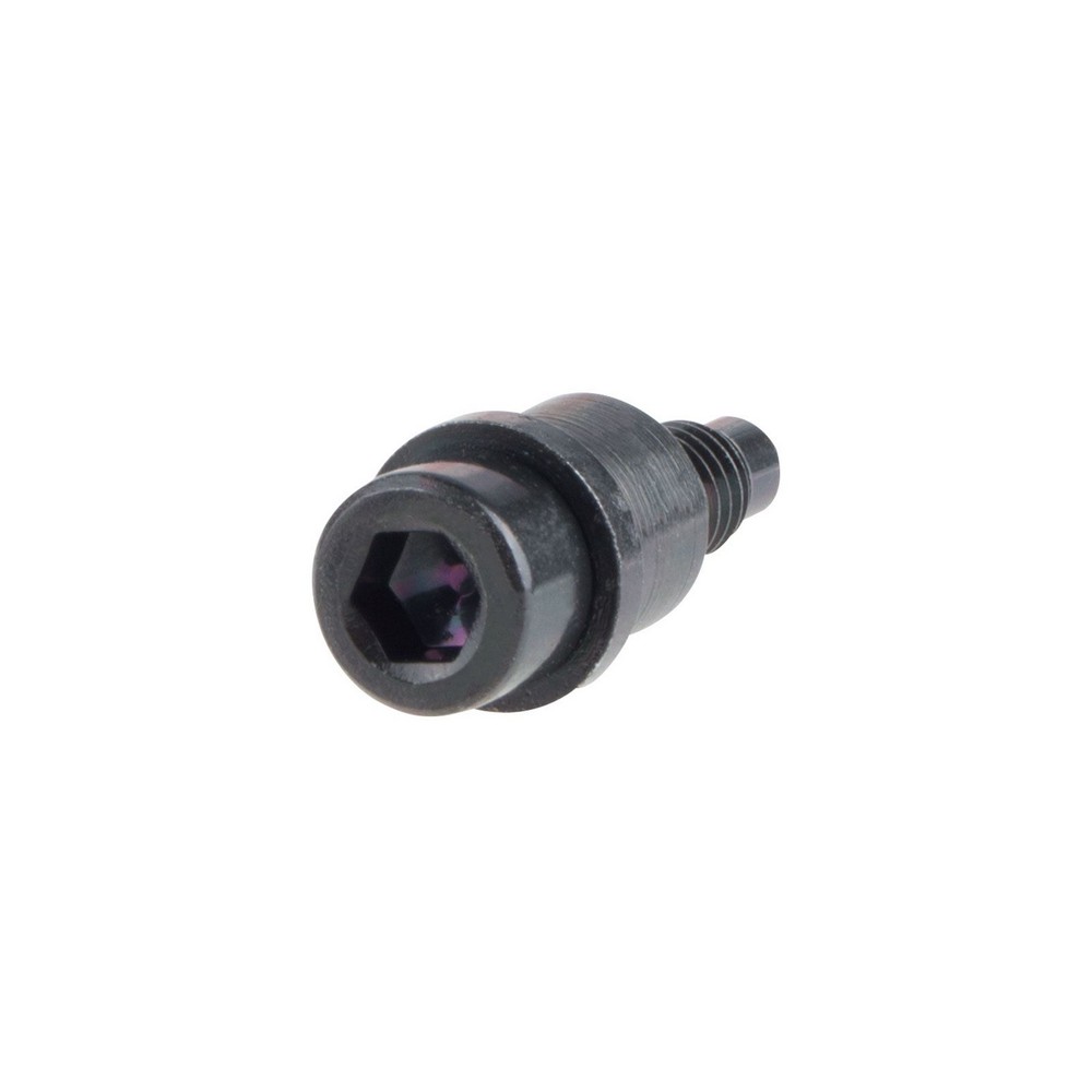 Parafuso da Tampa do Motor Fiat 46782689, foto 2
