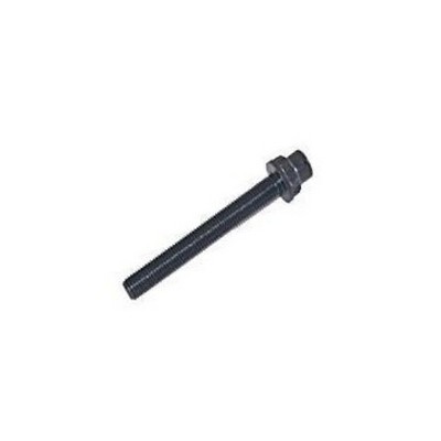 Parafuso do Cabeçote do Motor com Rosca Interna Rochepecas 3669900401