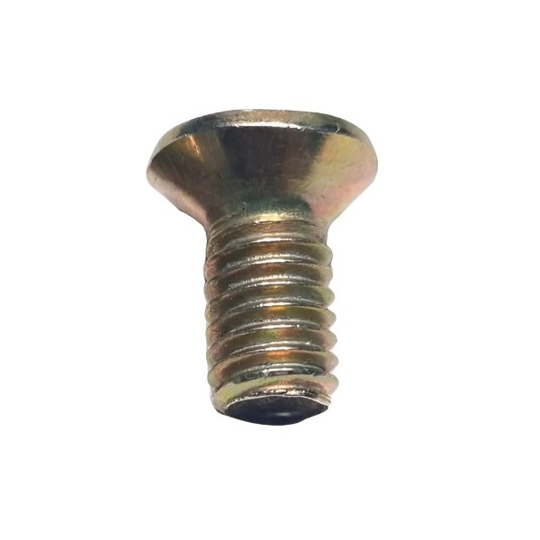 Parafuso do Disco Freio (Philips) Dinpar 11340