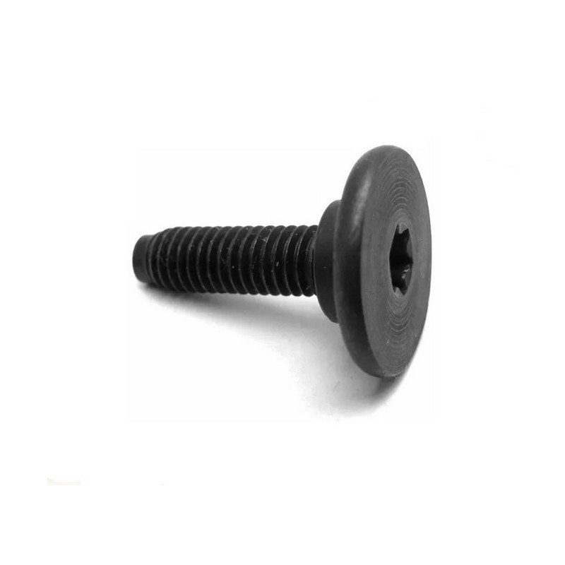 Parafuso do Para-choque Dinpar 72095
