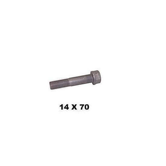 Parafuso do Suporte do Motor 14X70mm Rochepecas 900170014007