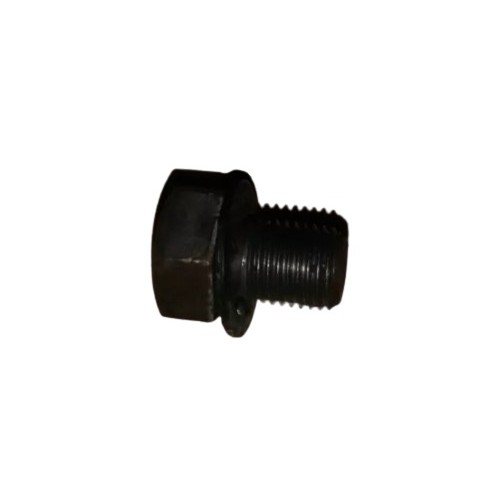 Parafuso Grosso da Polia do Motor General Motors 03793100