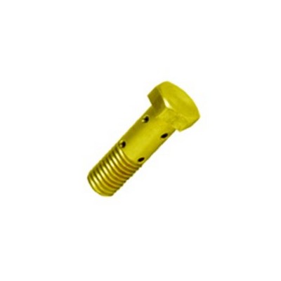 Parafuso Oco 10mm Duplo com 8 Furos 10X1,5X33M Rochepecas 170792