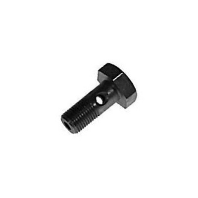 Parafuso Oco 10mm Lubrificação do Bloco Furo 4mm Rochepecas 278082