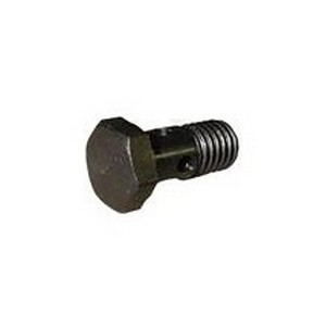 Parafuso Oco de Lubrificação do Cabeçote 10X21mm Rochepecas 1111373