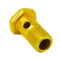 Parafuso Oco Vazado Bomba Injetora do Turbo 16mm Rochepecas 915036012150