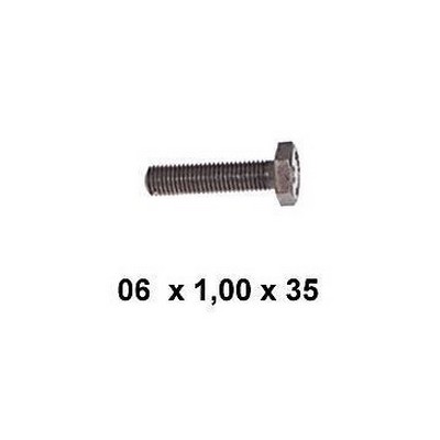 Parafuso Sextavado 6X1,0X35 Din933 Rochepecas 000933006083