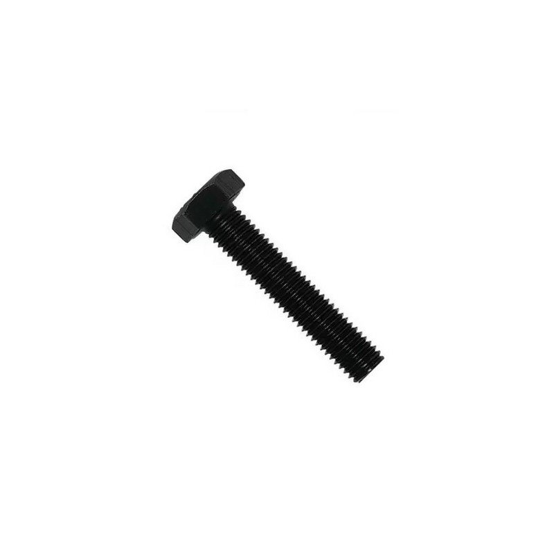 Parafuso Sextavado 6X55 Dinpar 53051