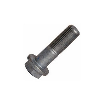 Parafuso Suporte da Sapata de Freio a Ar 16X1,50X55mm dianteira Rochepecas 3859900204