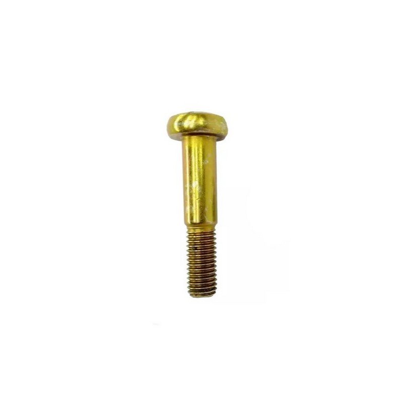 Parafuso Torx Fixação do Pivo Dinpar 11241