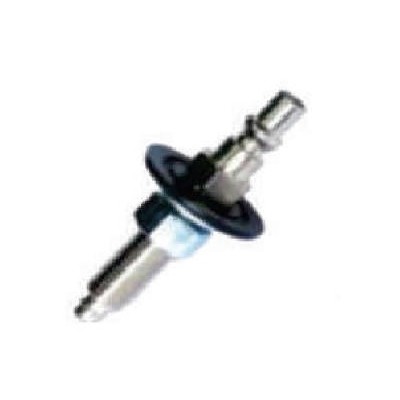 Pino do Engate Cego F.confuorto 040011