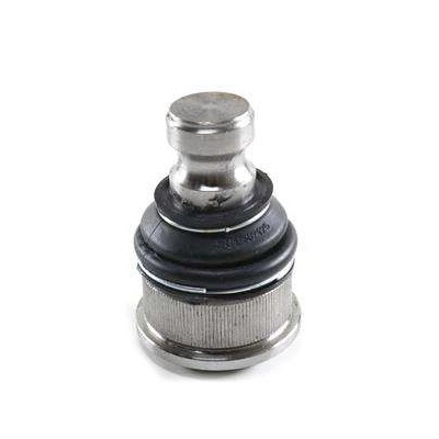 Pivô da Suspensão inferior DLZ 71843